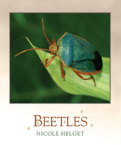 Beetles (Bugbooks),Used