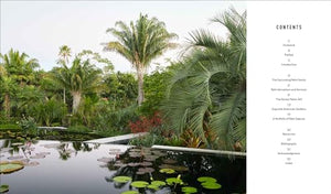Designing with Palms,Used