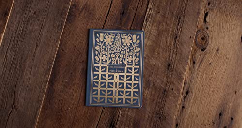 ESV Illuminated Scripture Journal: Colossians and Philemon,Used