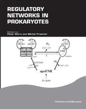 Regulatory Networks in Prokaryotes (Ummb Symposium Series Volume 6),Used
