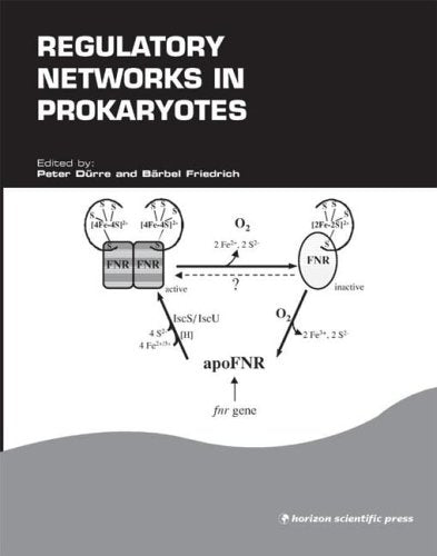 Regulatory Networks in Prokaryotes (Ummb Symposium Series Volume 6),Used