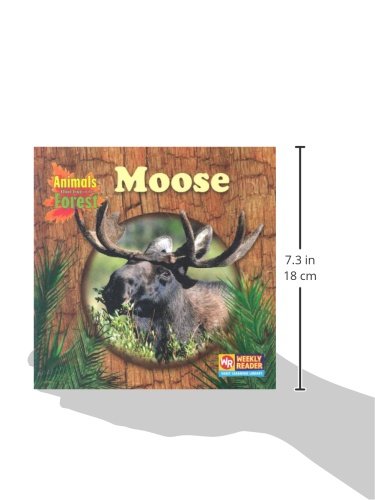 Moose (Animals That Live in the Forest),Used