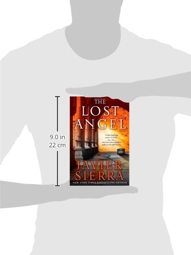 The Lost Angel: A Novel,Used
