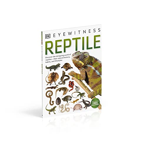 Reptile,Used