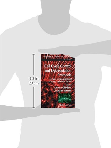 Cell Cycle Control and Dysregulation Protocols (Methods in Molecular Biology, 285),Used