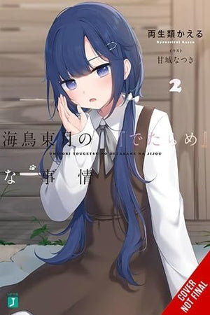 BS SITUATION OF TOUGETSU UMIDORI V02 LN
