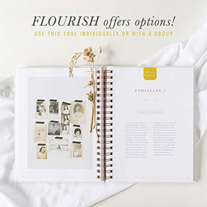 Flourish: A Mentoring Journey  Year One,Used