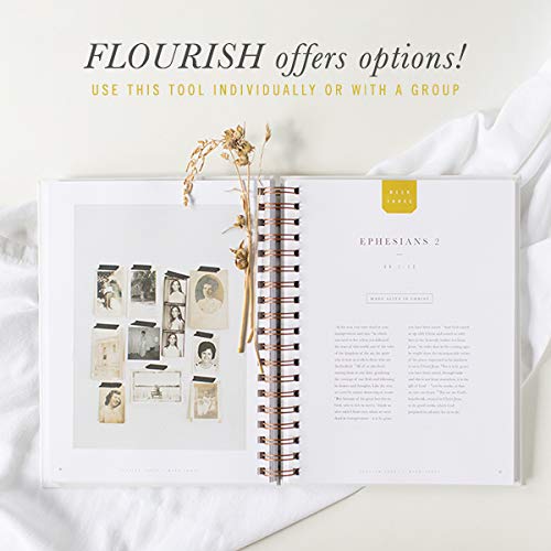 Flourish: A Mentoring Journey  Year One,Used