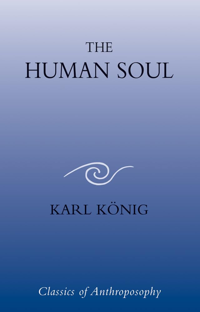 The Human Soul,Used
