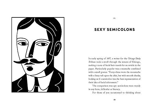 Semicolon: The Past, Present, and Future of a Misunderstood Mark,Used
