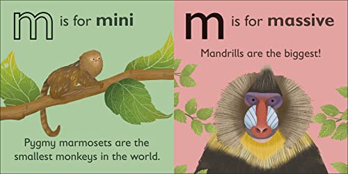 M Is For Monkey (The Animal Alphabet Library)