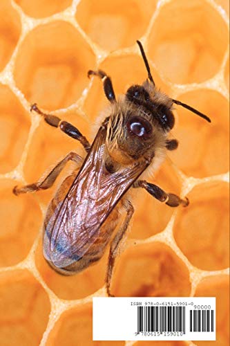 Imelda and Friends,Used