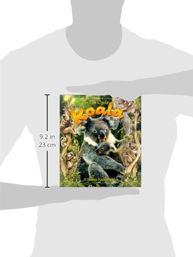 The Life Cycle of a Koala,Used