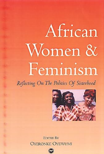 African Women and Feminism: Reflecting on the Politics of Sisterhood,Used