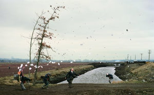 Jeff Wall (Phaidon Contemporary Artists Series)