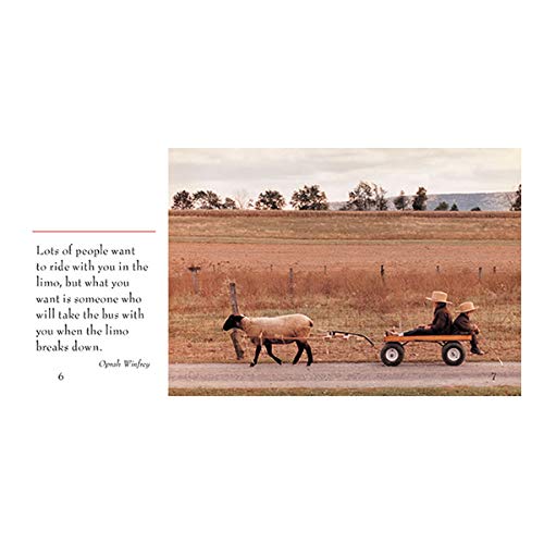 The Gift of Friendship,Used