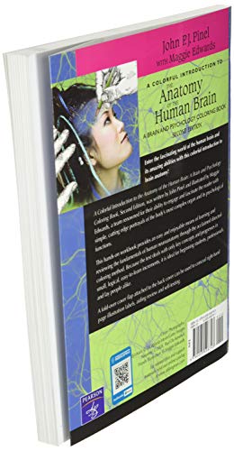 Pearson Colorful Anatomy of the Human Brain Coloring Book - Engaging Educational Resource for Psychology Enthusiasts