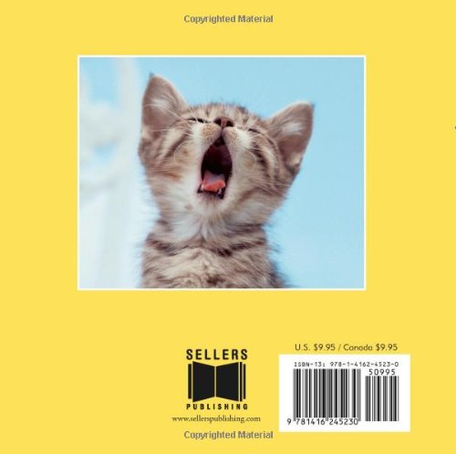 Cat Naps: The Key to Contentment,Used