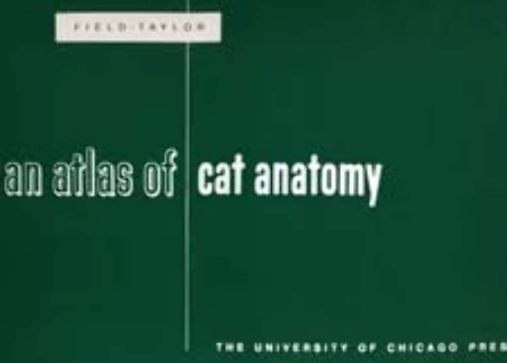 An Atlas of Cat Anatomy,Used