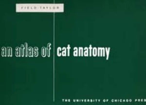 An Atlas of Cat Anatomy,Used