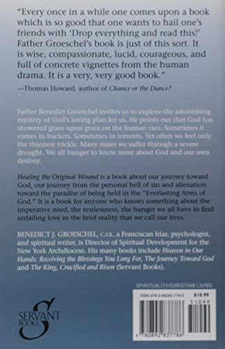 Healing the Original Wound: Reflections on the Full Meaning of Salvation: How to Experience Spiritual Freedom and Enjoy God's Pr,Used