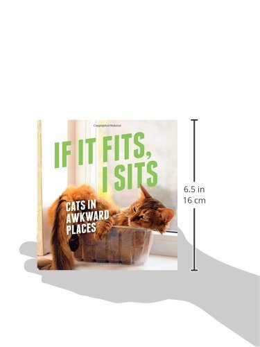 If It Fits, I Sits: Cats in Awkward Places,Used