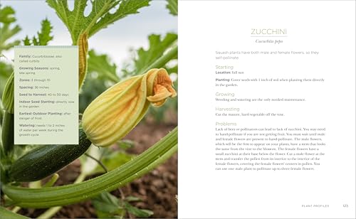 RaisedBed Gardening for Beginners: Your Guide to Growing Sustainability and SelfSufficiency,Used