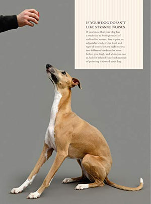 Fun & Games For A Smarter Dog: 50 Great Brain Games To Engage Your Dog (Companionhouse Books) Teach New Behaviors Stepbystep W