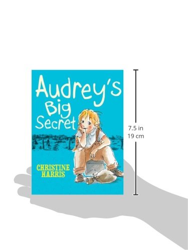 Audrey's Big Secret,Used