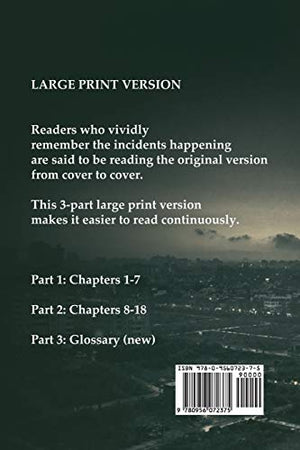 Air Crashes and Miracle Landings Part 1 (Large Print Crashes & Miracle Landings),Used