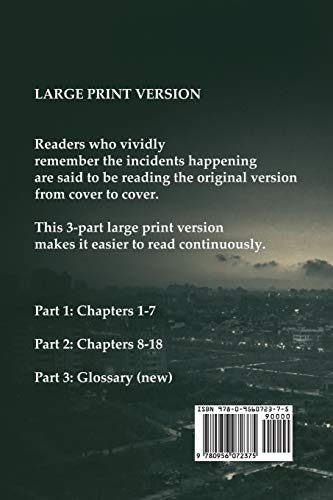 Air Crashes and Miracle Landings Part 1 (Large Print Crashes & Miracle Landings),Used