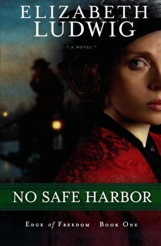No Safe Harbor (Edge of Freedom),Used