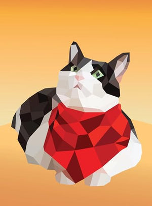 Paint by Sticker: Cats: Create 12 Stunning Images One Sticker at a Time!,Used