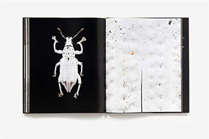 Microsculpture: Portraits of Insects,New