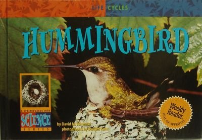 Hummingbird (Life Cycles),Used