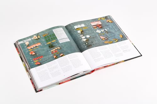 Paper to Petal: 75 Whimsical Paper Flowers to Craft by Hand,New