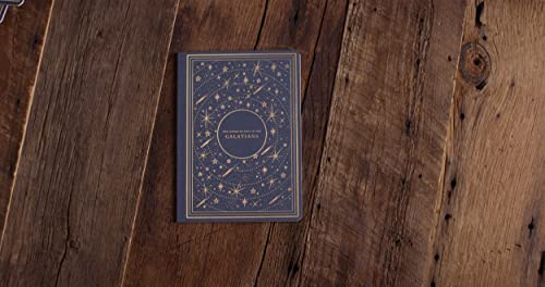 ESV Illuminated Scripture Journal: Galatians,Used
