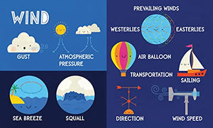 My First 100 Weather Words: A STEM Vocabulary Builder for Babies and Toddlers (My First STEAM Words),Used