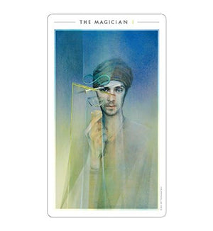 The Fountain Tarot: Illustrated Deck and Guidebook,Used