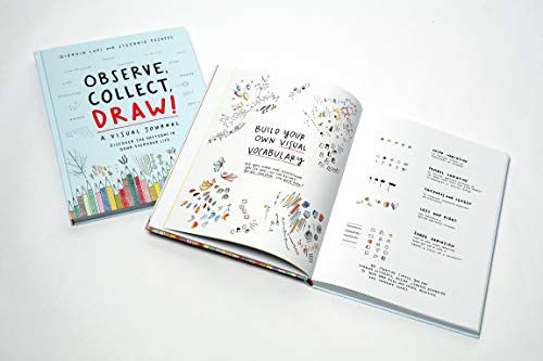 Observe Collect Draw!: A Visual Journal,Used