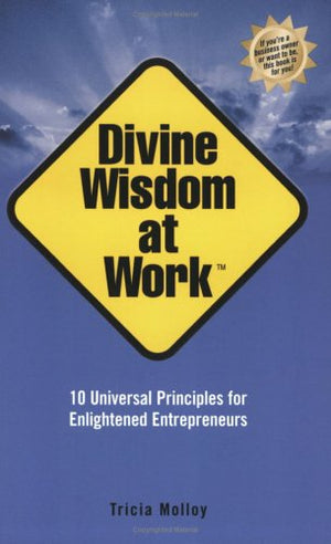 Divine Wisdom At Work: 10 Universal Principles For Enlightened Entrepreneurs,Used