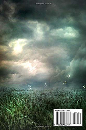 Goetic Words of Power: Instant access to the Demons of the Goetia for Transformation, Power, and Success.,Used