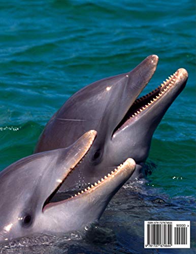 Composition Notebook: Wide Ruled Dolphin Water Cute Composition Notebook, Girl Boy School Notebook, College Notebooks, Compositi,Used
