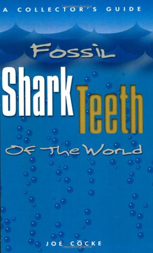 Fossil Shark Teeth Of The World