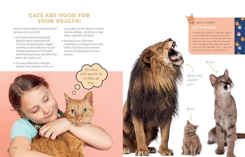 A Kid'S Guide To Cats: How To Train, Care For, And Play And Communicate With Your Amazing Pet!