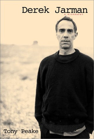Derek Jarman: A Biography,Used