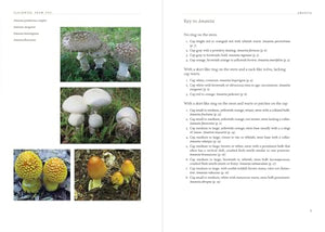 Appalachian Mushrooms: A Field Guide,New