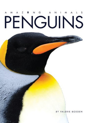 Amazing Animals: Penguins
