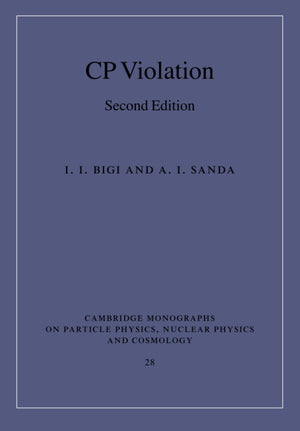 CP Violation,Used
