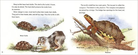 Look Out For Turtles! (Let'Sreadandfindout Science 2),Used